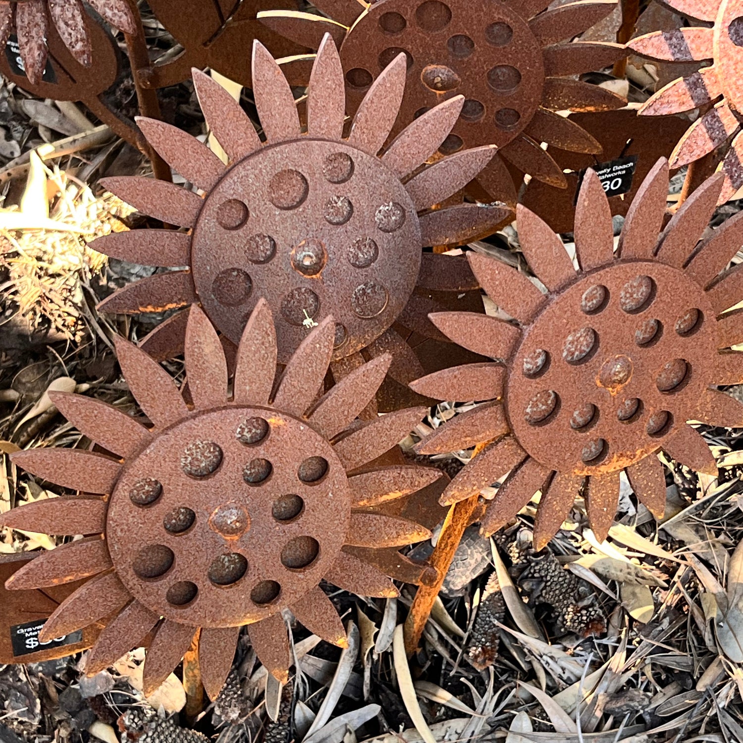 Metal Sunflowers Rusty Garden Art Sculpures | Gravelly Beach