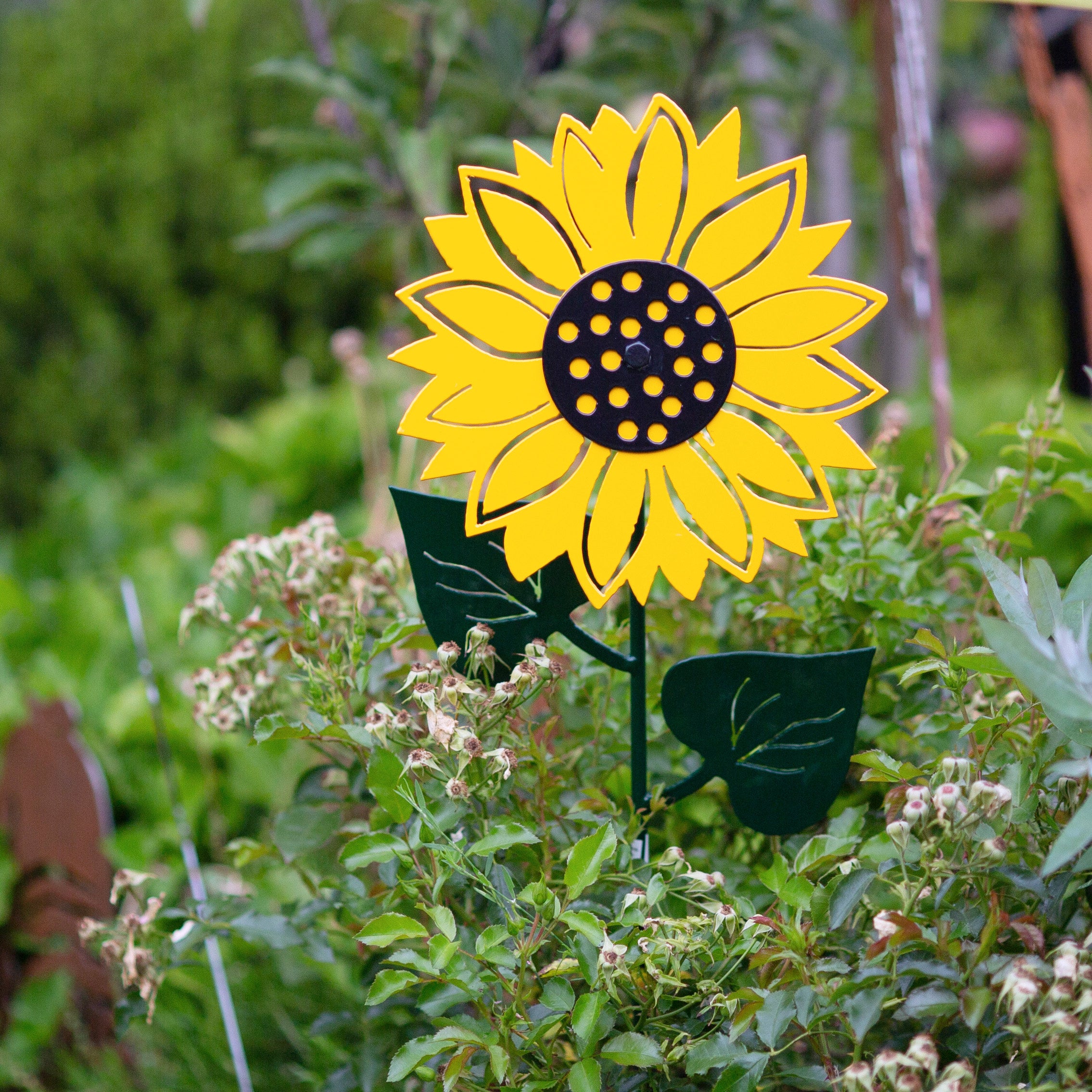 買得 Metal Sunflowers Rusty Garden Art Sculpures | Gravelly Beach ウェア