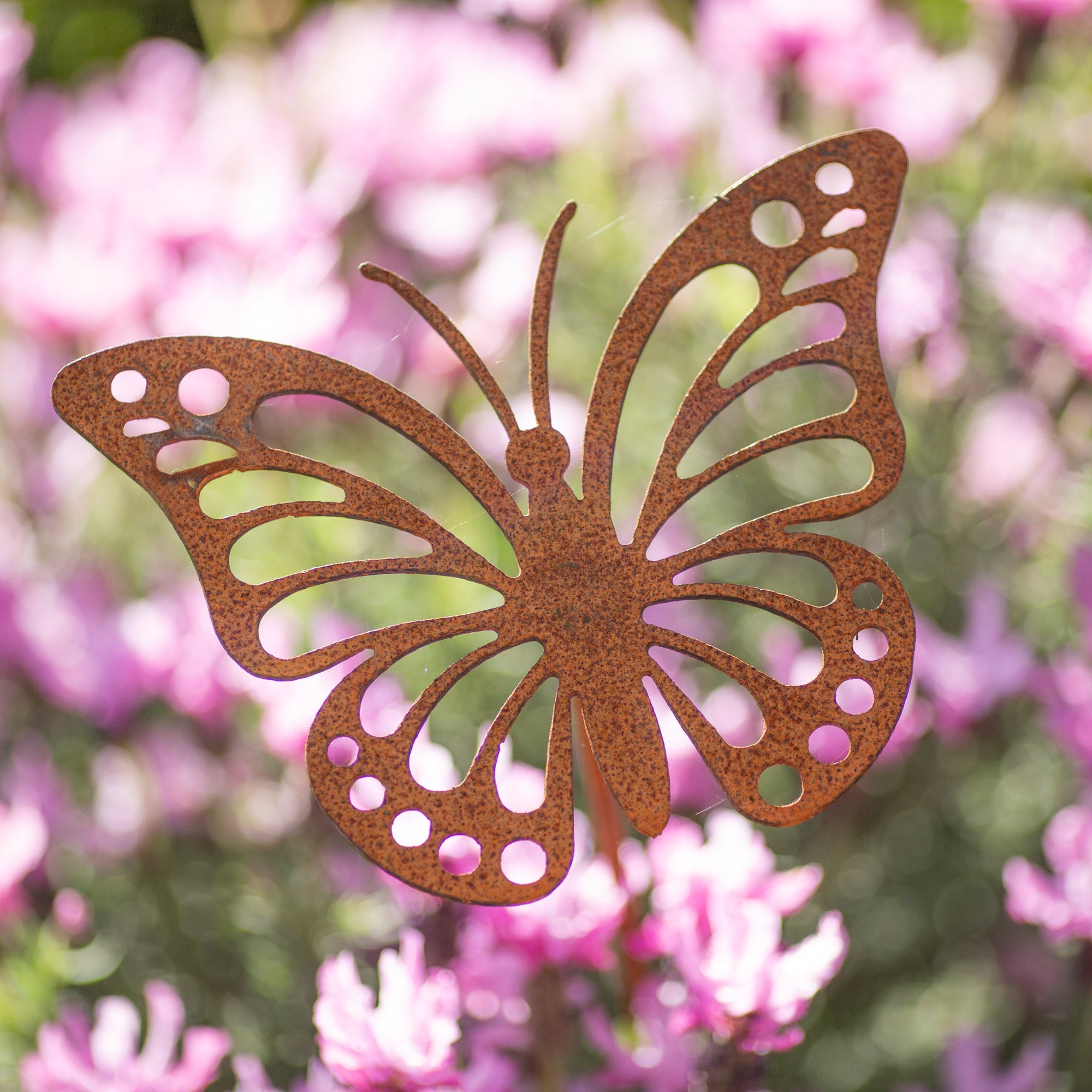 Insect Beautiful Garden Art Stunning Rusty Garden Metal Decorations ...