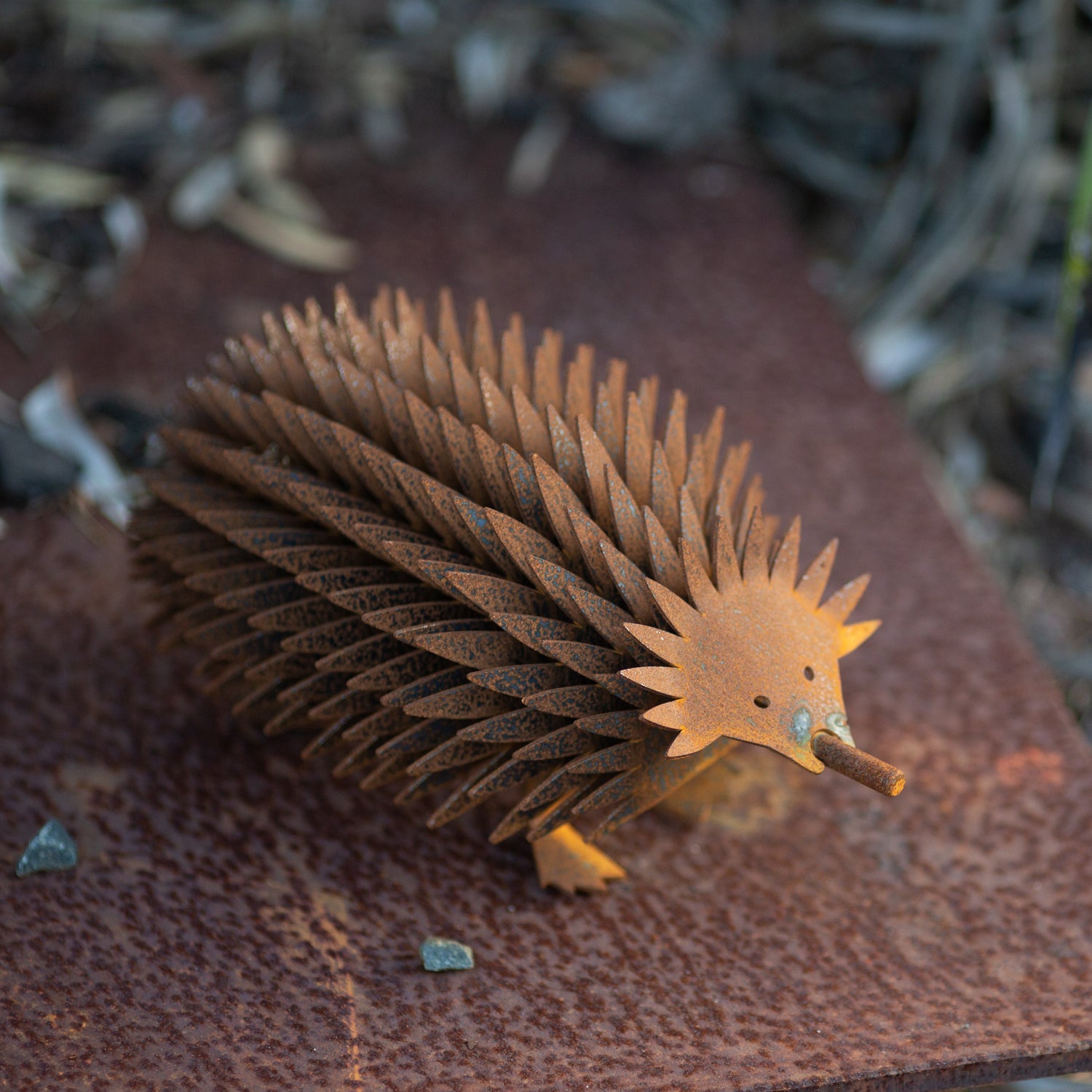 The most adorable Tassie Made Echidna you will find for your