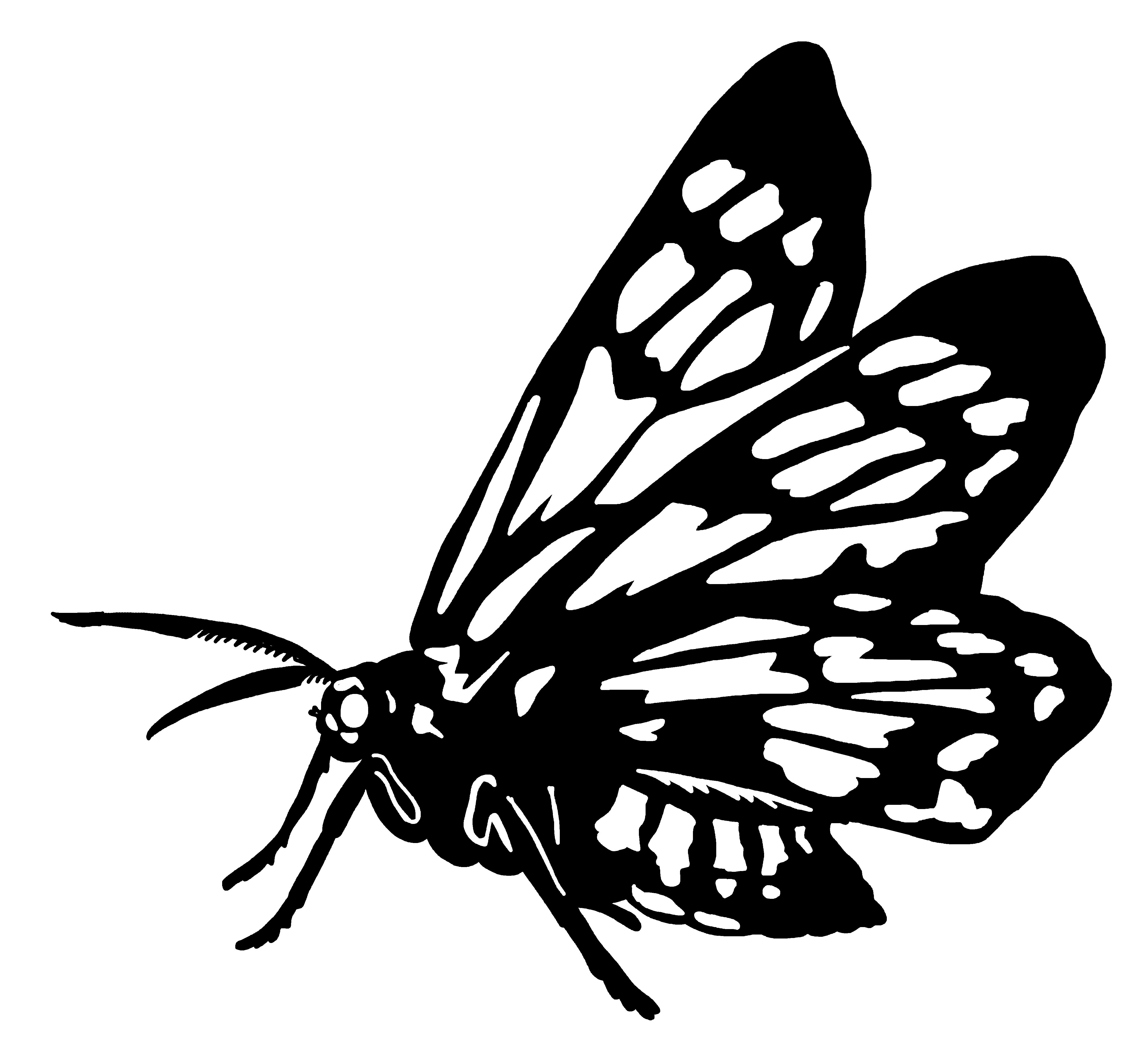 1 4 7 Move 3 Sticks Answer Key 1 4 7 Move 3 Sticks Answer Key