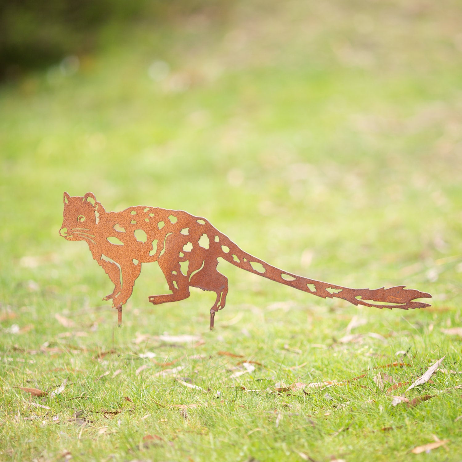 Quoll Native Metal Garden Art Sculpture Gravelly Beach Metalworks