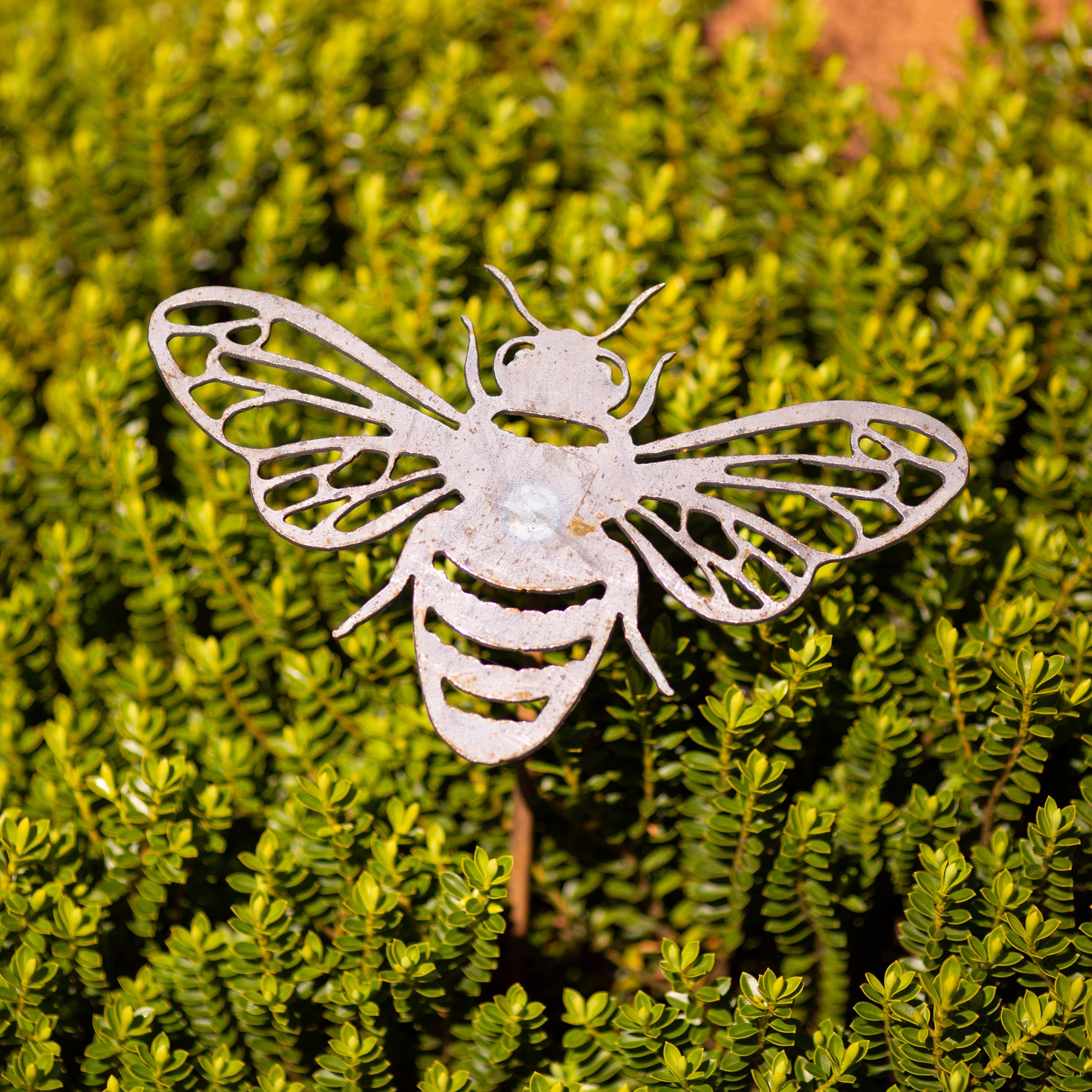 Insect Beautiful Garden Art Stunning Rusty Garden Metal Decorations ...