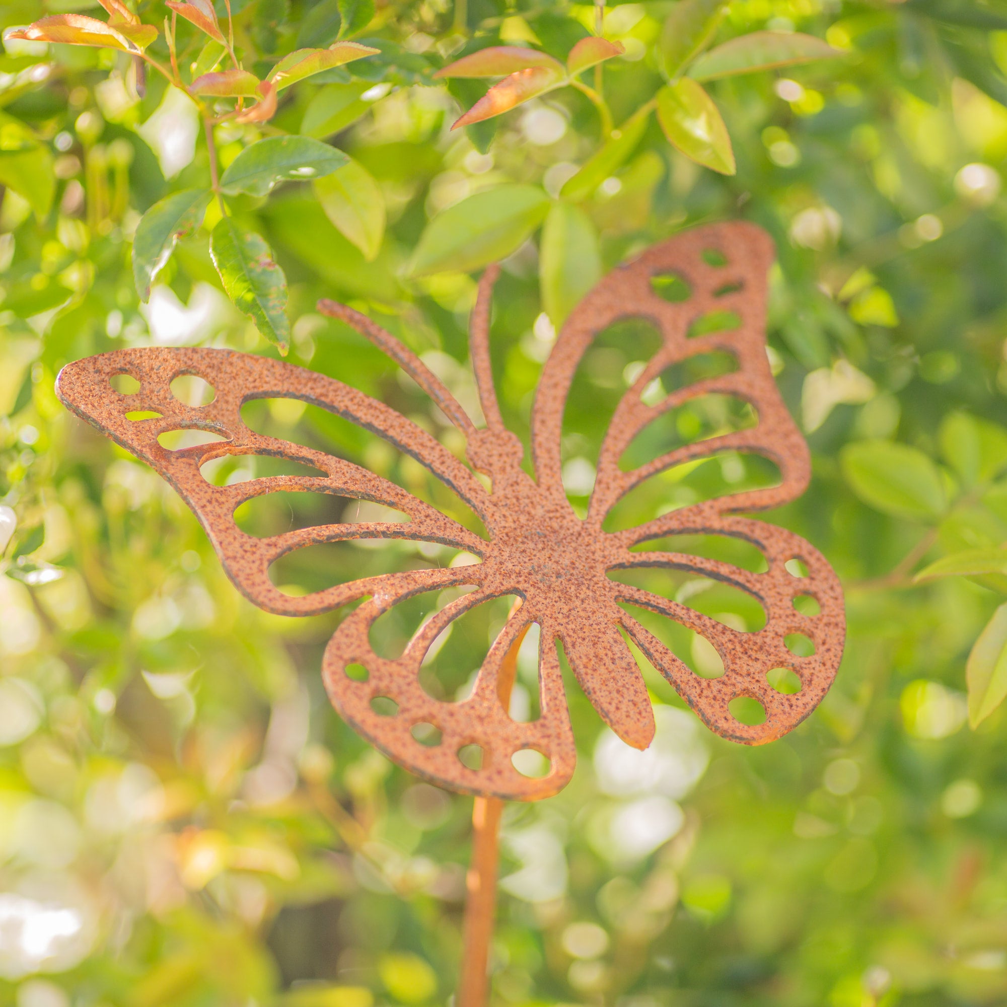 Insect Beautiful Garden Art Stunning Rusty Garden Metal Decorations ...