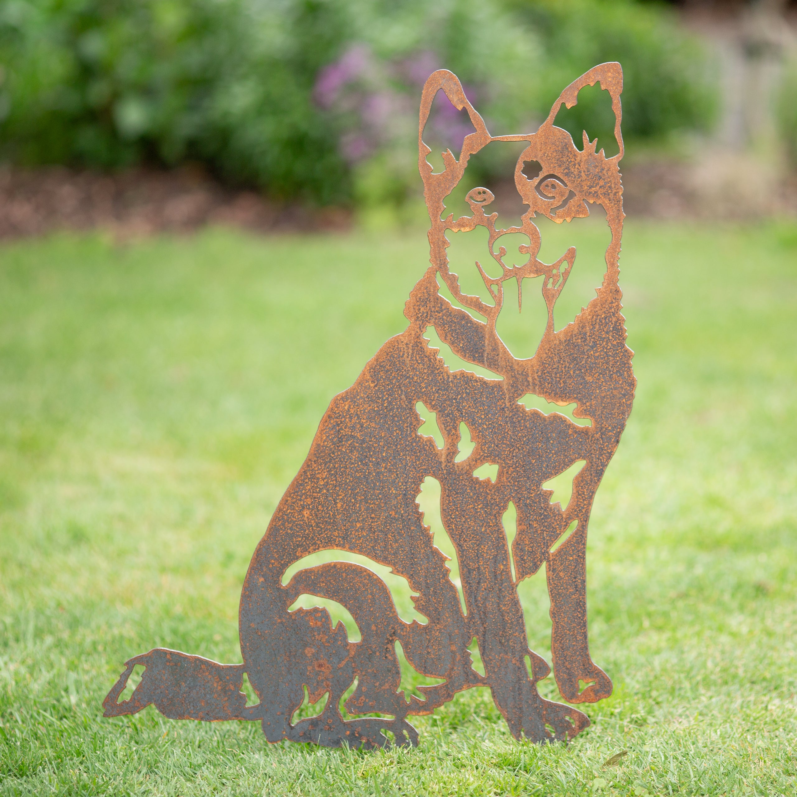 Australian Cattle Dog, Pet Memorial, Garden Art Rusty Gravelly Beach