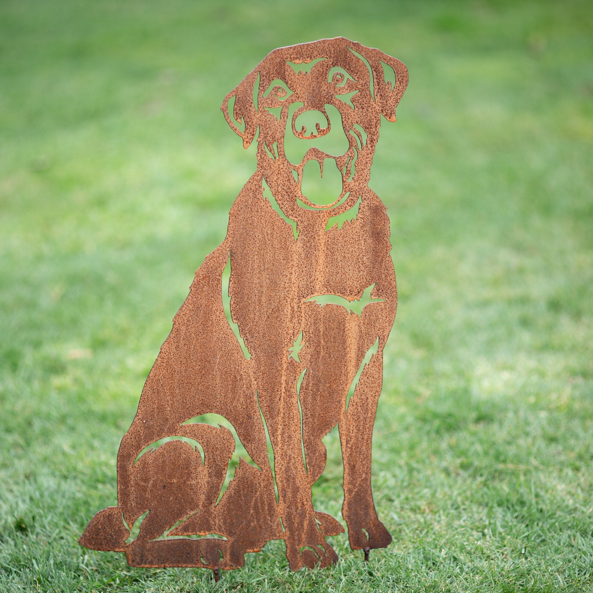 Lucky the labrador gravelly beach metalworks