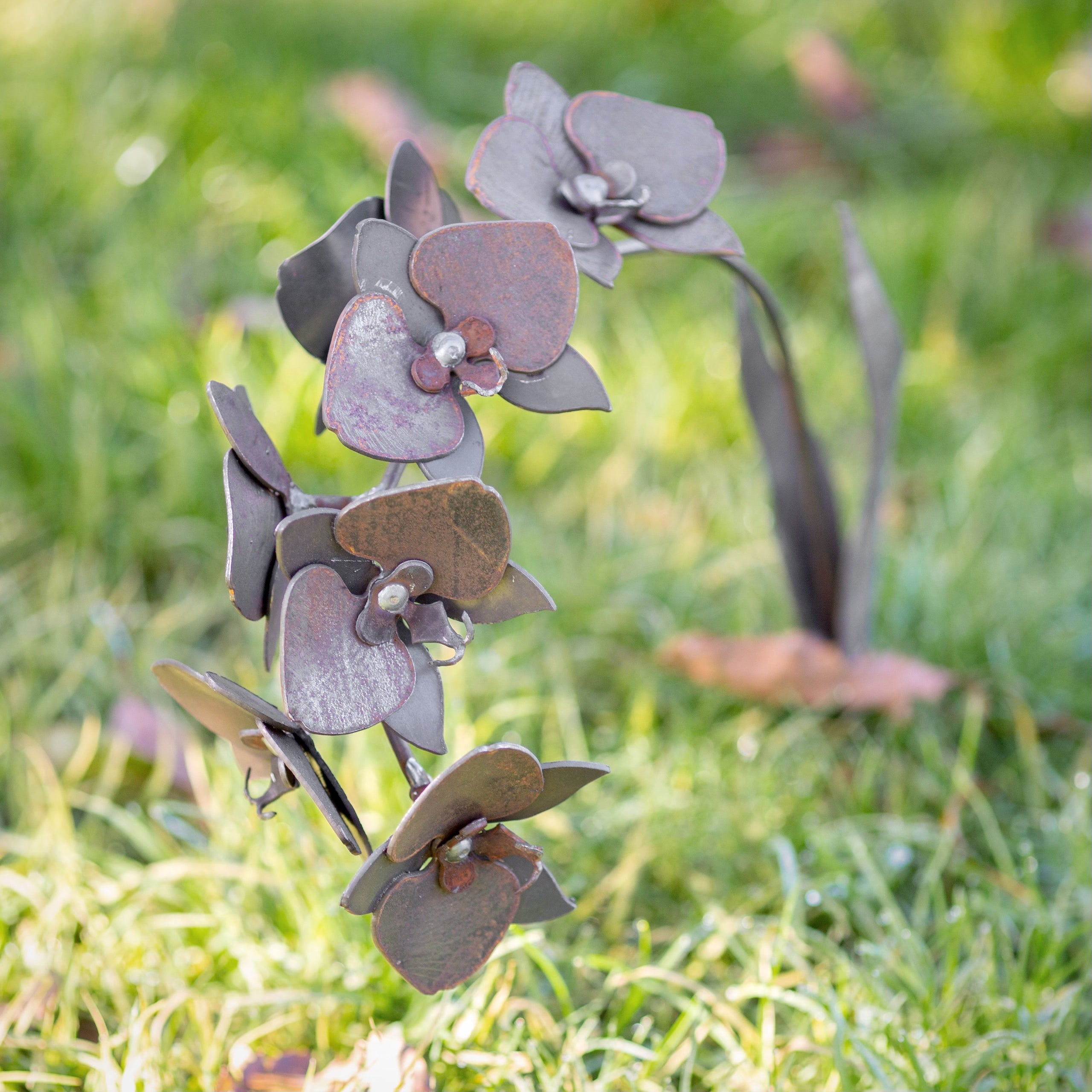 Orchid stem gravelly beach metalworks