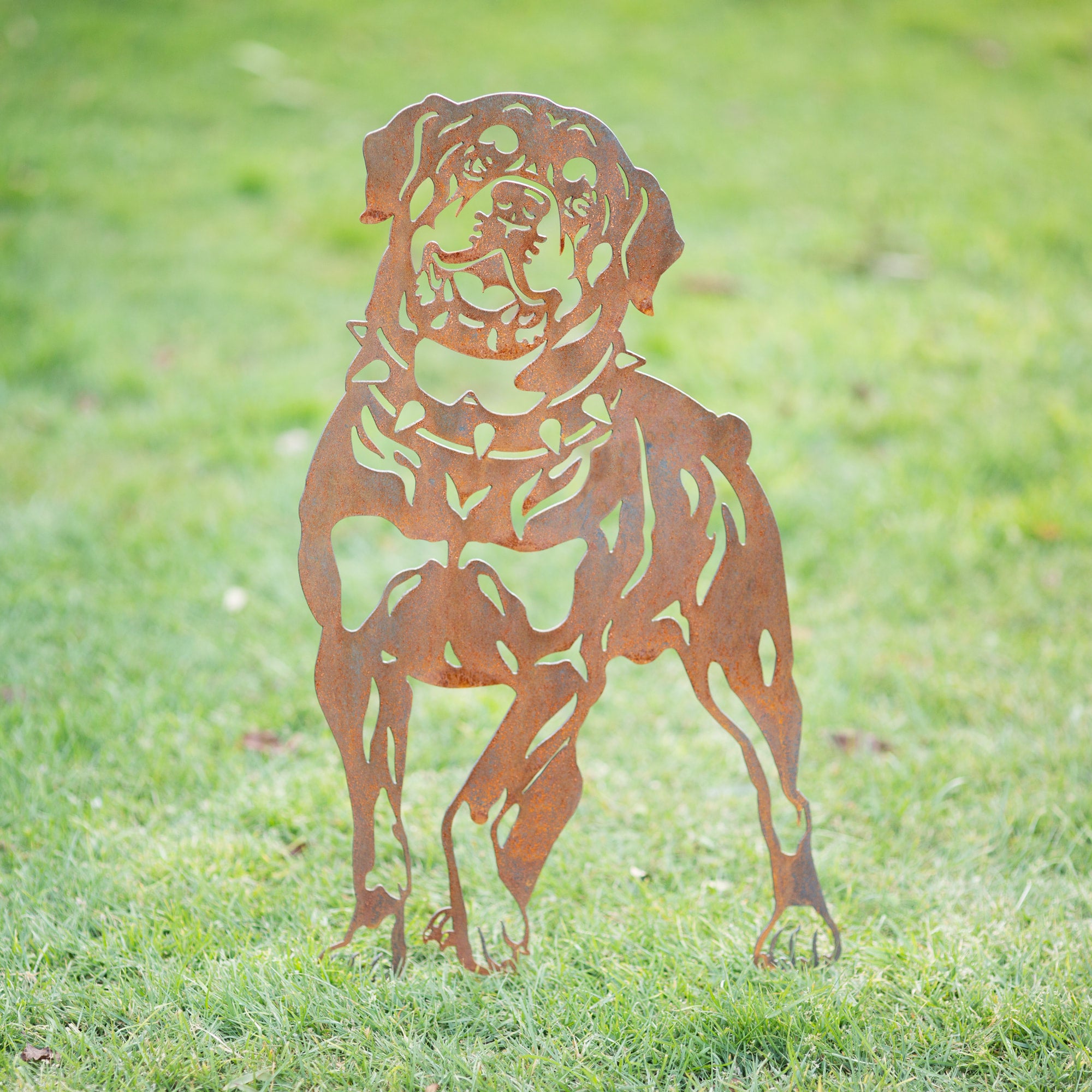 Rodney rottweiler gravelly beach metalworks