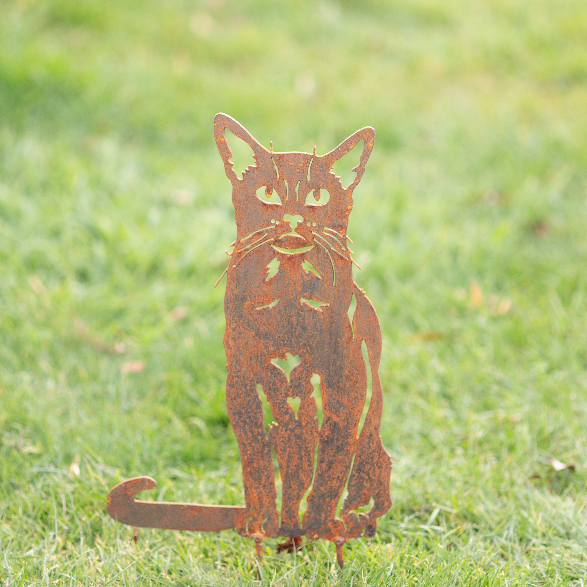 Kyle kitty gravelly beach metalworks