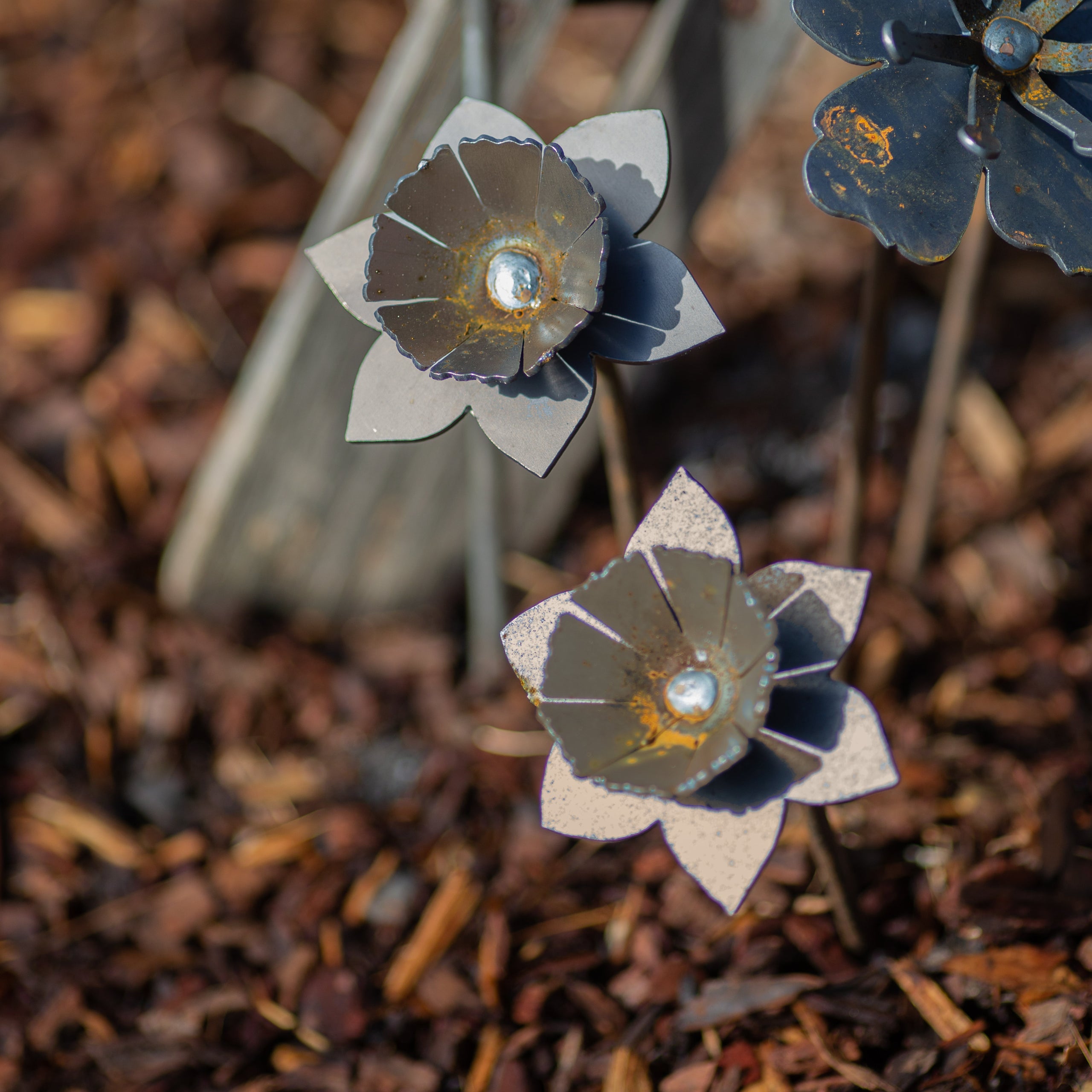 Metal Daffodil Flower Rusty Garden Art Sculpture Gravelly Beach