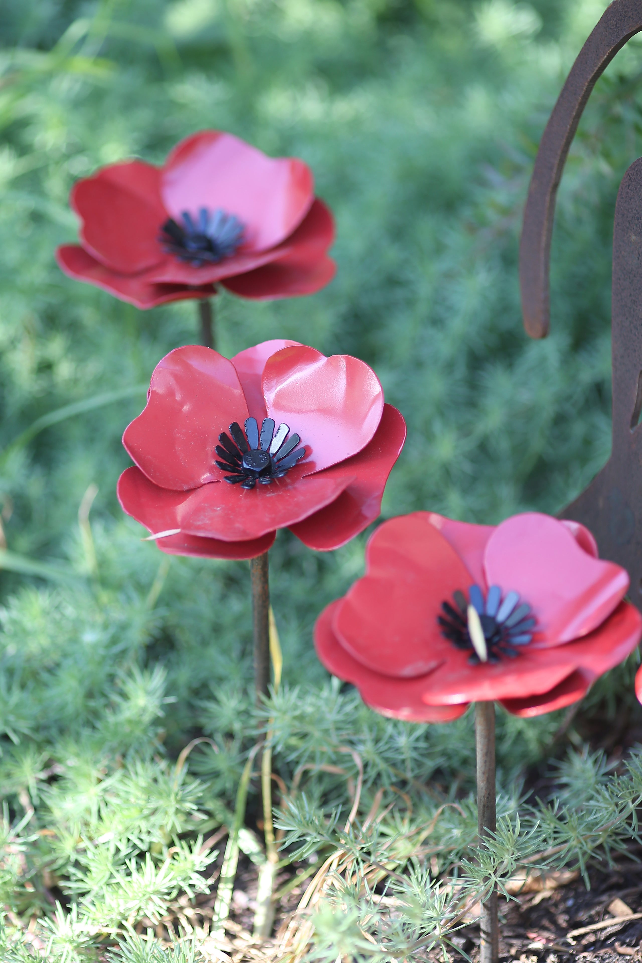 red-poppy-gravelly-beach-metalworks